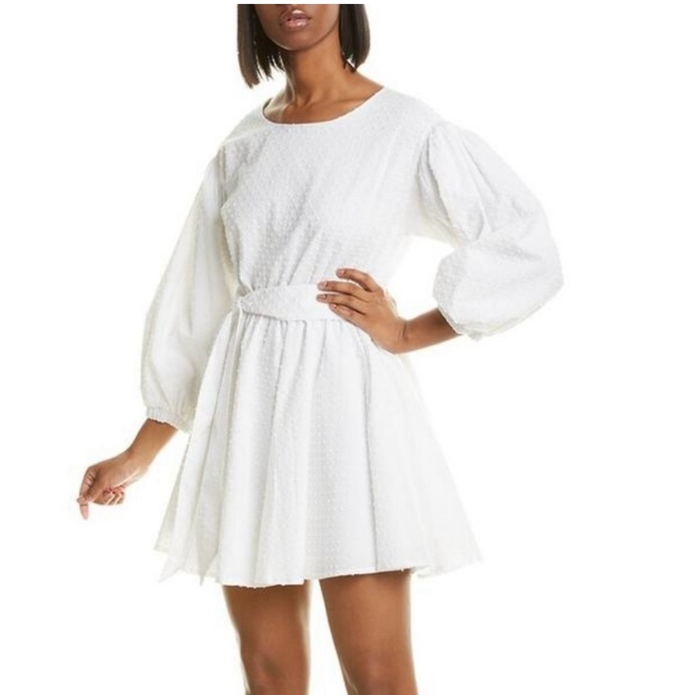 NWT-The Andamane Doina Swiss Dot A-Line Dress